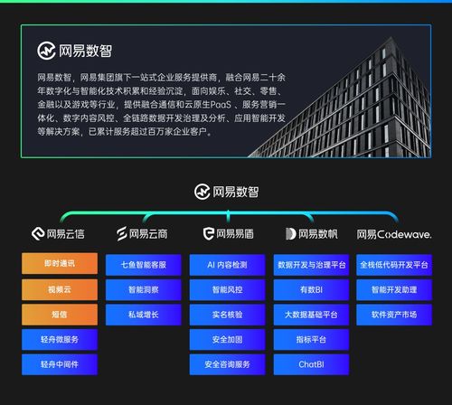 網(wǎng)易云信周梁偉 大模型在融合通信產(chǎn)品中的創(chuàng)新應(yīng)用與安全實踐